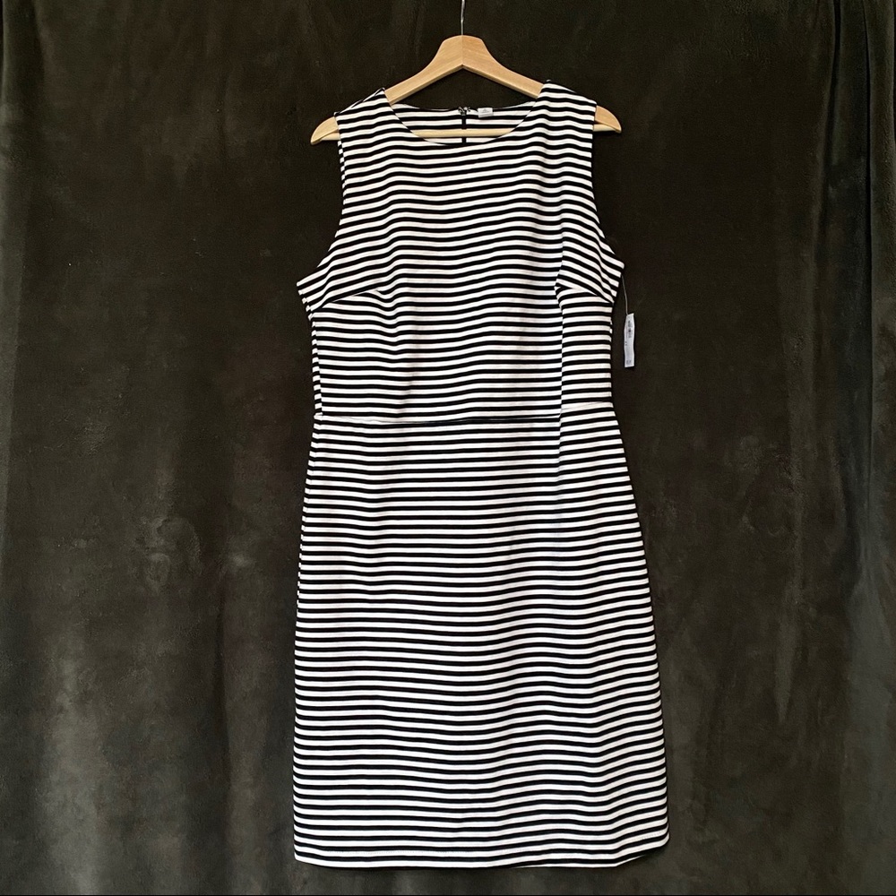 NWT Striped Dress